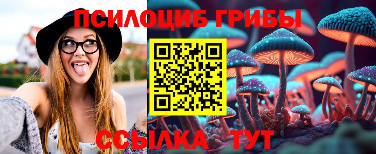 Галлюциногенные грибы Psilocybine cubensis  Галлюциногенные грибы MAGIC MUSHROOMS  Вход с VPN  Нижний Тагил 